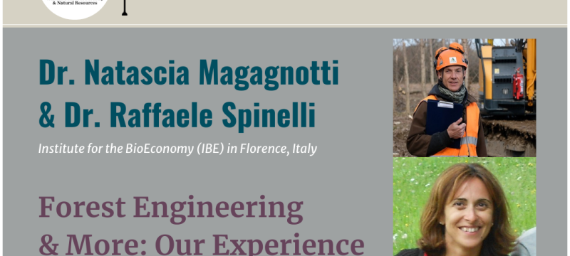 Forest Engineering and More: Our Experience